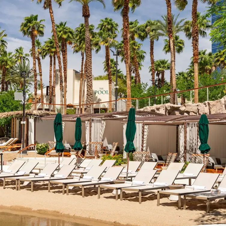 Experience the Ultimate Vegas Pool Party at Kassi Beach Club