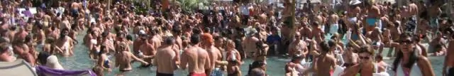 Vegas Pool Passes